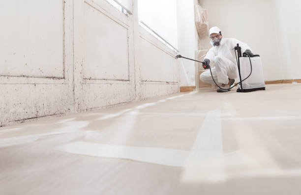 24/7 Emergency Mold Inspection experts in Elkwood, VA