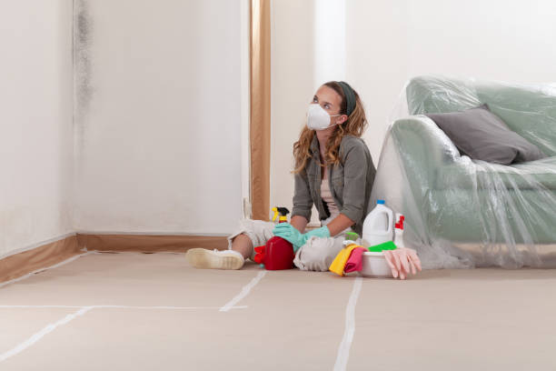 Reliable Mold Inspection contractor in Elkwood, VA by WQB Mold Removal