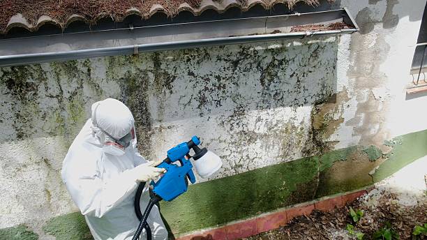 Top rated local Mold Inspection specialists in Elkwood, VA
